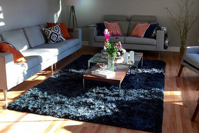 Living room - modern living room idea in Detroit