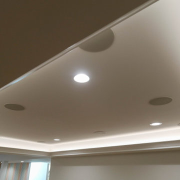 Ultra Modern Brentwood | Downtown Naperville, IL