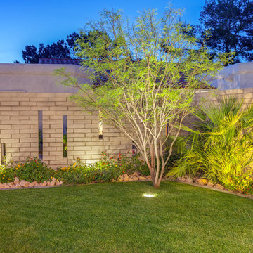 Modern Landscape