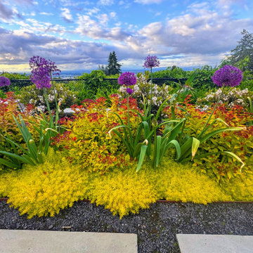 Hawthorne Vista Garden