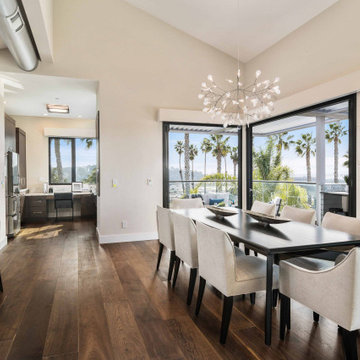 Solana Beach Modern Stunner