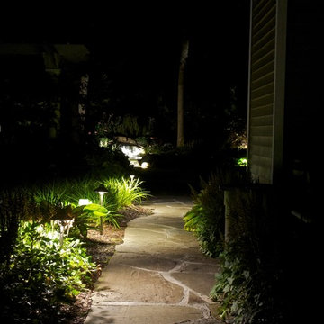 Landscape Lighting