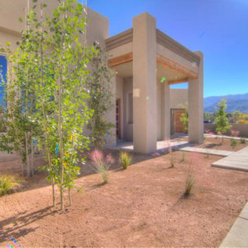 SW Contemporary Elevation