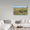 Galloimages Online 'Bison In North Dakota Landscape' Canvas Art, 32"x22"