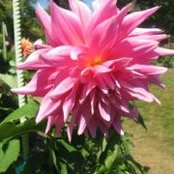 Foto von Monique Mullins-Roberts