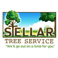 Stellar Tree Service