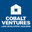 Cobalt Ventures LLC