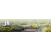 Ground LandscapeGroup's photo