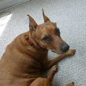 Tobey Gaspar's photo
