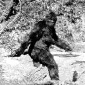 Darren Wiseman's photo