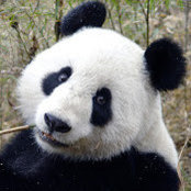 Andrew Greenberger's photo