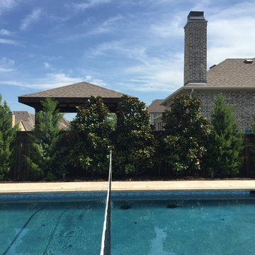 Pool Landscape