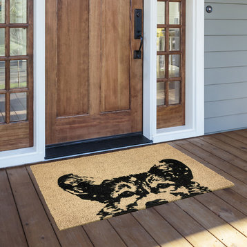 Sparky 24x36 Coir Doormat by Kosas Home