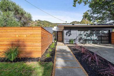 Home design - 1960s home design idea in San Francisco