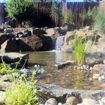 Noel and Nancy's Pond Makeover - From the Intake Bay