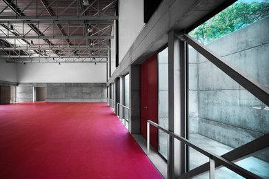 Imagen de gimnasio multiusos actual de tamaño medio con paredes grises, suelo de linóleo y suelo rojo