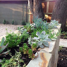 Landscaping ideas