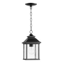 Exterior Pendant (front porch)