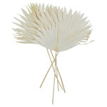 The Novogratz - Traditional White Dried Plant Natural Foliage 563353 - Arrange this white palm leaf bundle in a clear glass bottle vase to elevate its natural beauty, and style them as a centerpiece on a dining table, or decorative accent in a living room or entryway. This item ships in 1 carton. Due to the handmade nature of this item, no two will be alike, there will be slight differences in shape, size, and color. Suitable for indoor use only. This item ships fully assembled in one piece. Made in India. This is a single white colored natural dried pampas grass. Traditional style.