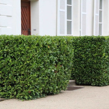 Gartenplanung und Ausführung im LeManoir in Felsberg