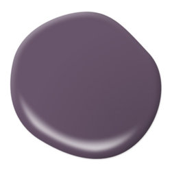 Vintner M100-6 - Paint