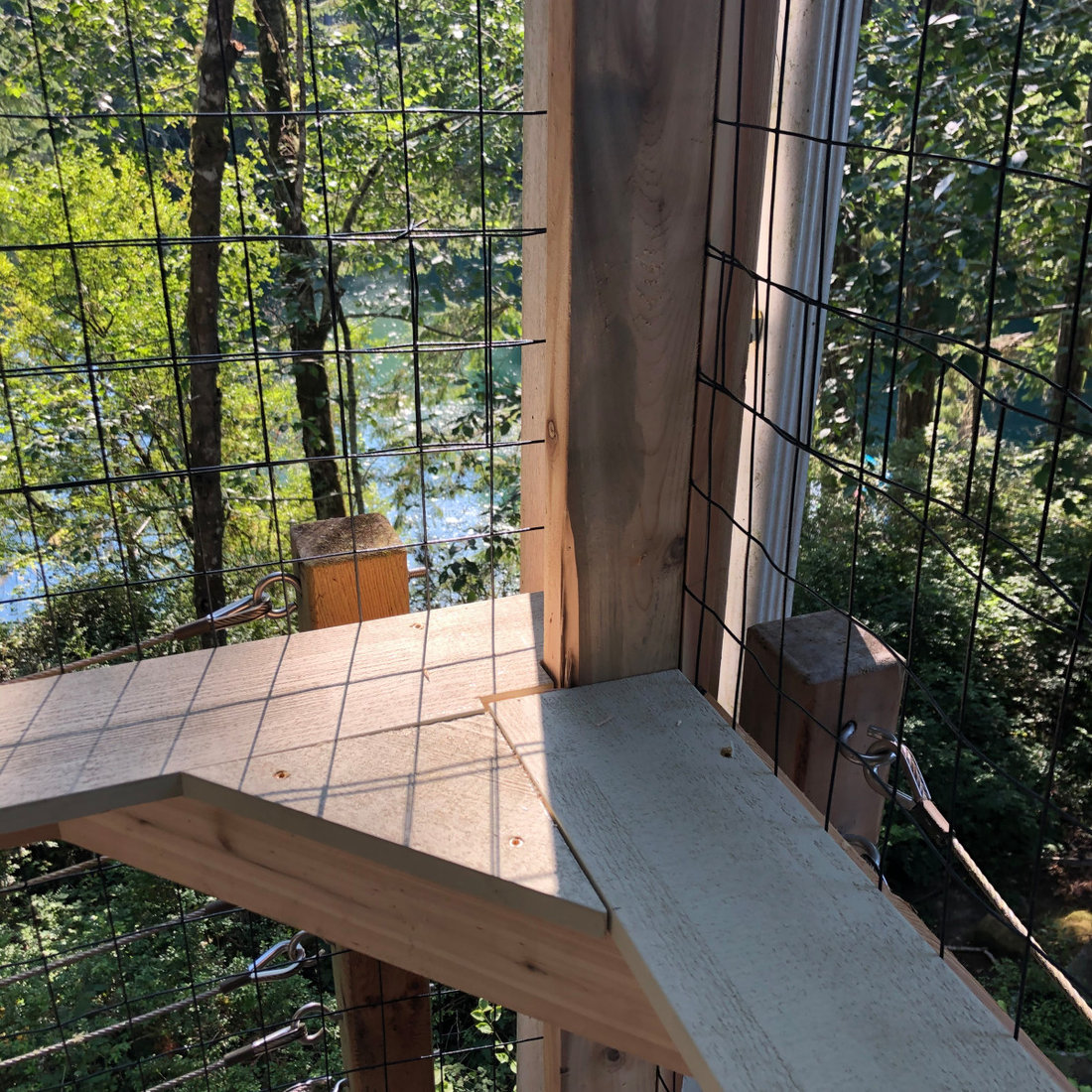Catio