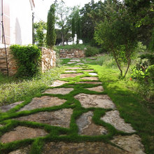Patio Ideas