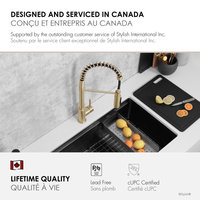 STYLISH Milano Pull-Down Kitchen Faucet with water filter, Stainless Steel., Brushed Gold