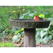 Susan Savino's photo