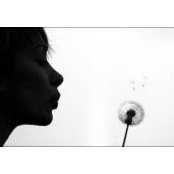 Hang Trans foto