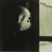 Felix Cepeda's photo