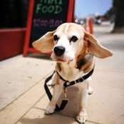 Dave Montalbano's photo