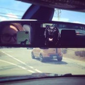 Stacy Malone's photo