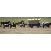 DeeAnn Lengerich's photo