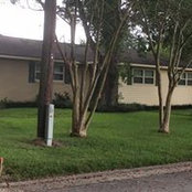 Nathan Mascaro's photo