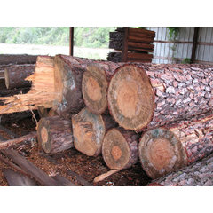 Lori @ US Lumber Brokers LLC