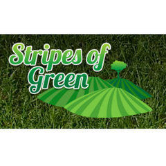 Stripes of Green