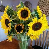 Karen Hill-Wagoner's photo
