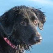 Jamie Pitt Miller's photo