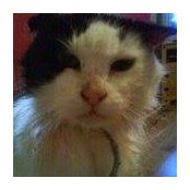 Tina Welsh's photo