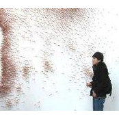 Nicole Rim's photo