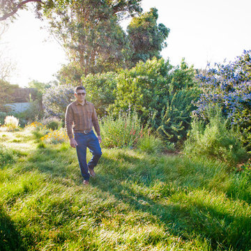 Harvestable Hedges