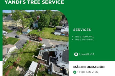 Ready to hire our professional services?