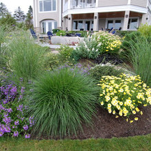 Yard - Right side