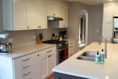 Enclosed kitchen - mid-sized transitional single-wall light wood floor and brown floor enclosed kitchen idea in Chicago with an undermount sink, quartz countertops, stainless steel appliances, an island, recessed-panel cabinets and white cabinets