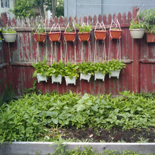 Gardening