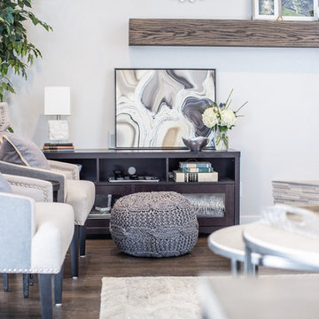 Clarkson Street Living Room + Fireplace Renovation