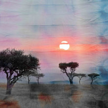 alisa_colpitts's ideas