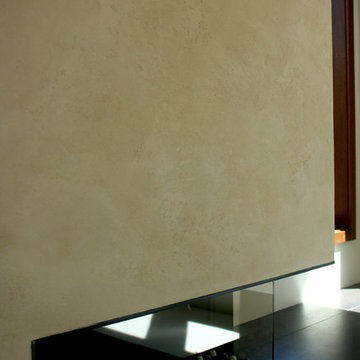 American Clay Loma on Contemporary Fireplace Wall