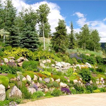 Perennial Gardens